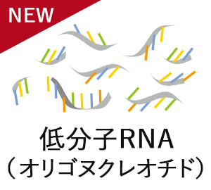 低分子RNA（オリゴヌクレオチド）