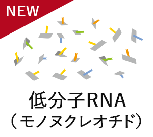 低分子RNA（モノヌクレオチド）