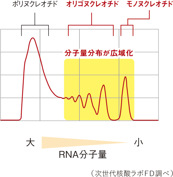 新RNA素材FCore-R2023（RNA分子量分布）